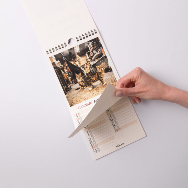 Calendari da parete | Libreria Acqua Alta Calendario da parete fotografico 3 - interno - Libreria Acqua Alta Venezia