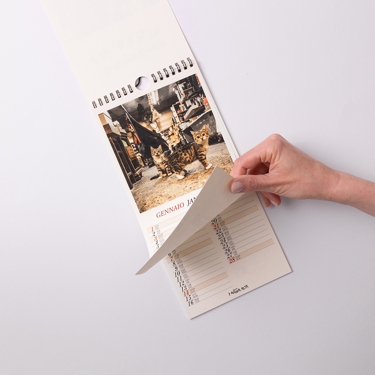 Calendari da parete | Libreria Acqua Alta Calendario da parete fotografico 3 - interno - Libreria Acqua Alta Venezia
