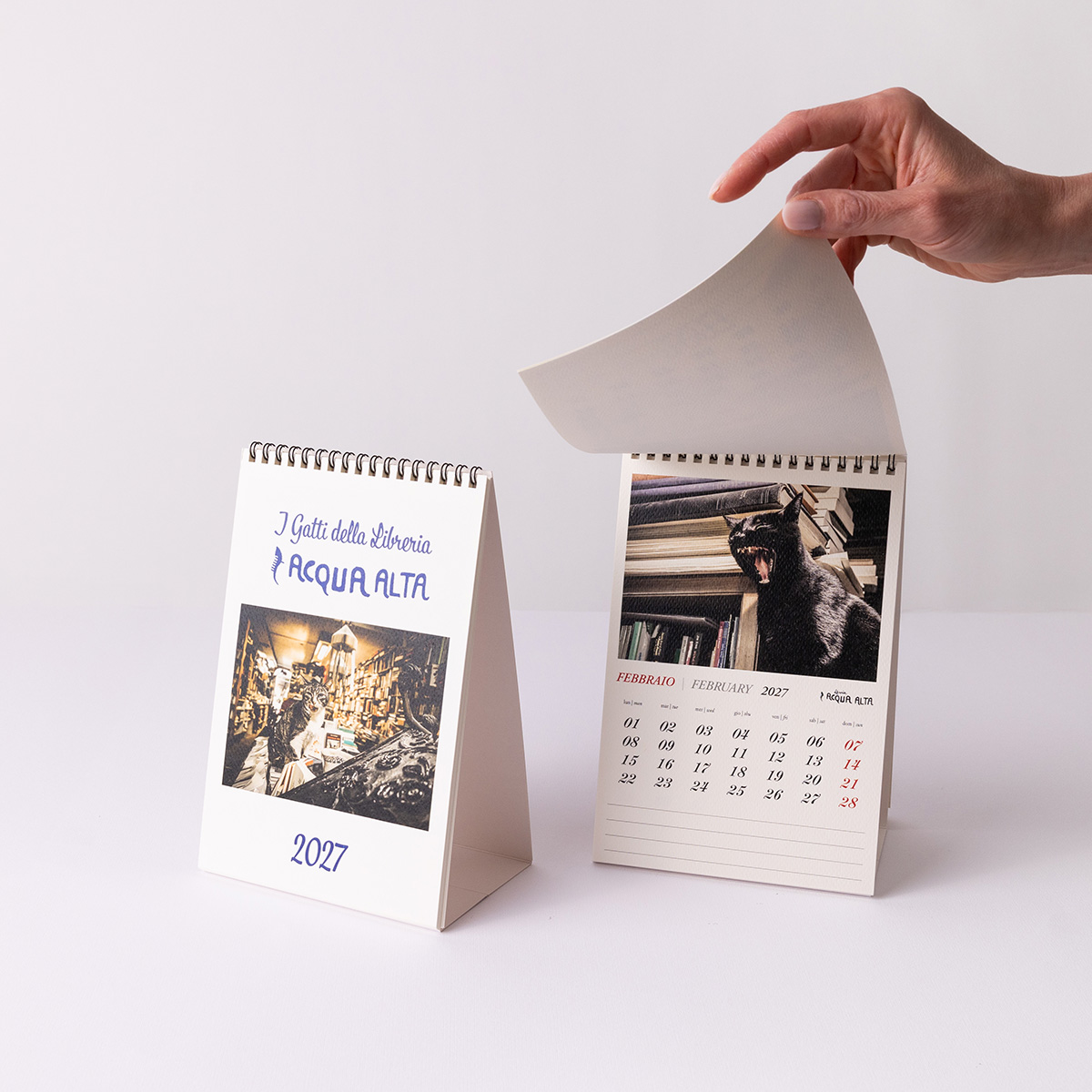 Calendario da tavolo - gruppo 5 - Libreria Acqua Alta Venezia