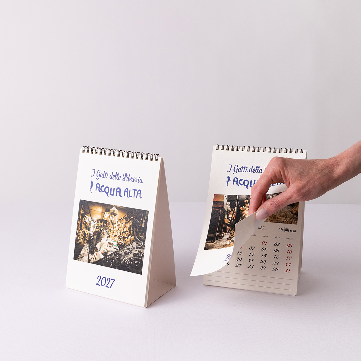 Calendari da tavolo | Libreria Acqua Alta Calendario da tavolo - gruppo 1 - Libreria Acqua Alta Venezia