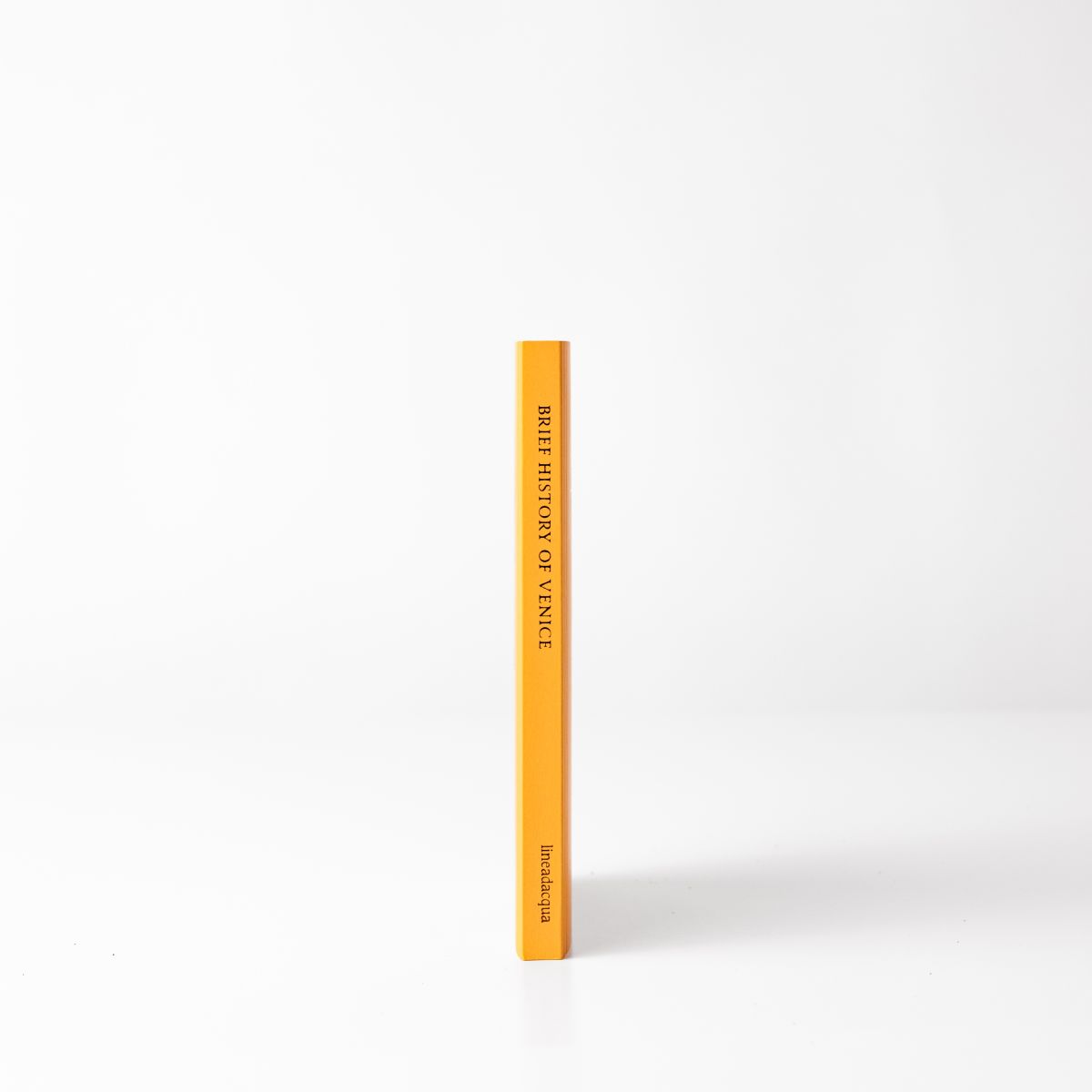 Spine of the book Brief History of Venice with title and publisher's label
