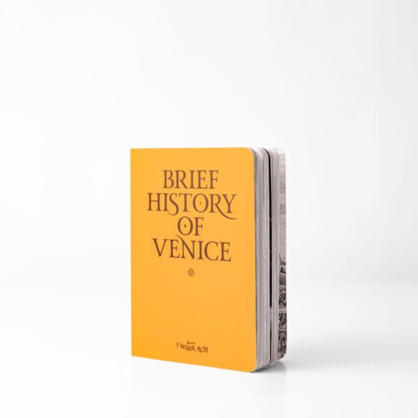 Full cover of A Brief History of Venice, shown from the side with the spine and pages visible