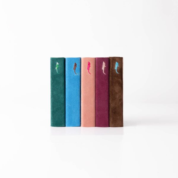 Acqua Alta Bookstore Diaries – Colorful Set Acqua Alta Venice Bookstore Journals, a set of colorful notebooks lined up in a row