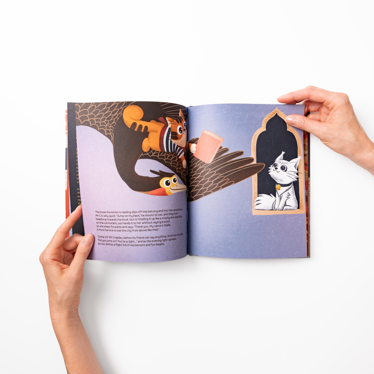 Inside page: Leo flies onto a cormorant to return the book to Stella the kitten